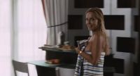 Various Playmates – The Pool Boys