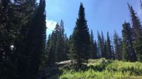 Nature Is Beautiful, Thanks Utah!