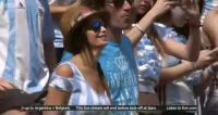 Argentine Fan At The World Cup In Brazil.