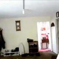 The Legend Mal Malloy