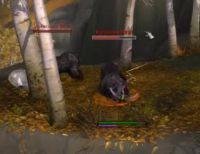 Dafuq Is This Bear Doing?