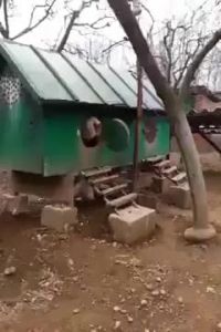 Huge Cock
