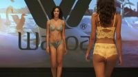 Runway Model On The Catwalk