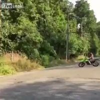 MotoX Guy Doesn't See Branch While Jumping
