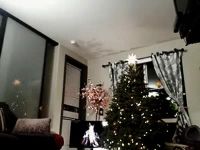 It's The Most Wonderful Time Of The Year!