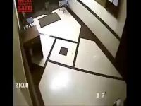Wild Leopard In Someone's Apartment